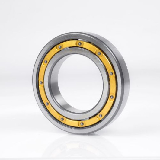 61892 M - Kroglični ležaj